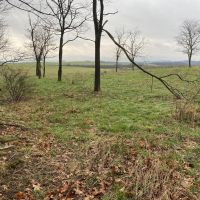 Mt. East Rd. Fayette County - 78 Acres images 3