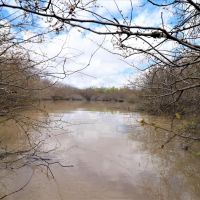 505 - Acres L Anguille River Flooded Timber Farmland images 3