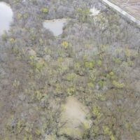 505 - Acres L Anguille River Flooded Timber Farmland images 4