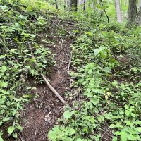 Mountain Rd. - Somerset PA images 2