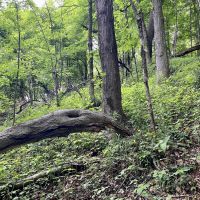 Mountain Rd. - Somerset PA images 3
