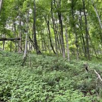 Mountain Rd. - Somerset PA images 4