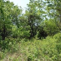 Elk County 160 images 4