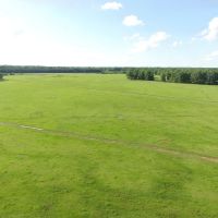 Grant County AR Farm Cattle Ranch with Home For Sale images 3