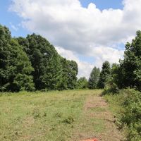 30 Acre Mini Farm Close to Town