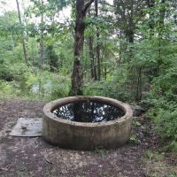 30 Acre Mini Farm Close to Town images 2