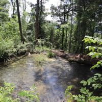 30 Acre Mini Farm Close to Town images 4