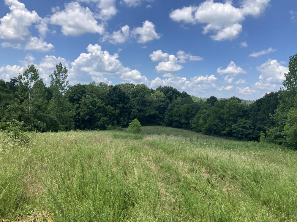 Land for Sale Kentucky 115 acres featured image
