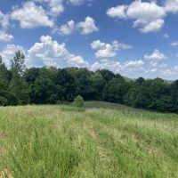 Land for Sale Kentucky 115 acres