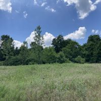 Land for Sale Kentucky 115 acres images 2
