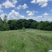 Land for Sale Kentucky 115 acres images 3