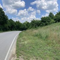 Land for Sale Kentucky 115 acres images 4