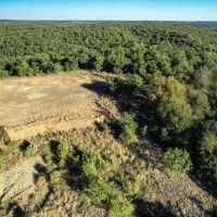 Lost Oak Grove images 3