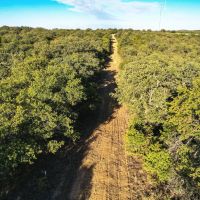 Lost Oak Grove images 4