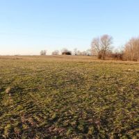 109 Acres crop land mature timber images 4