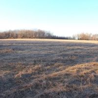 109 Acres crop land mature timber images 5