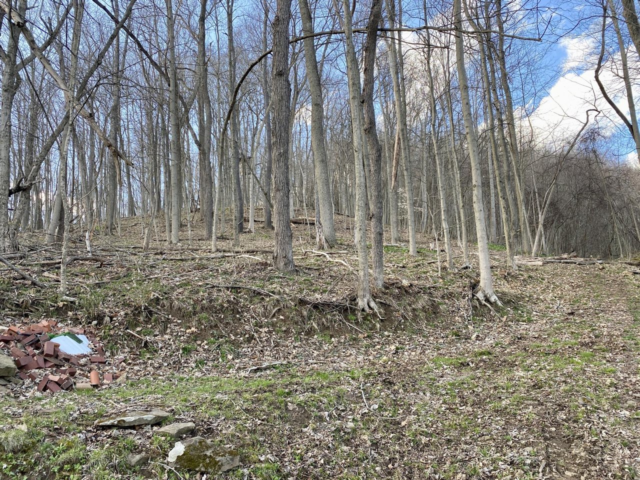 Youghiogheny Lake 44 acres Hunting Land for Sale