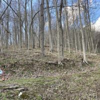Youghiogheny Lake - 44 acres images 3