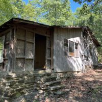 20 Acres w Cabin For Sale Stone County AR images 3
