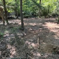 20 Acres w Cabin For Sale Stone County AR images 4