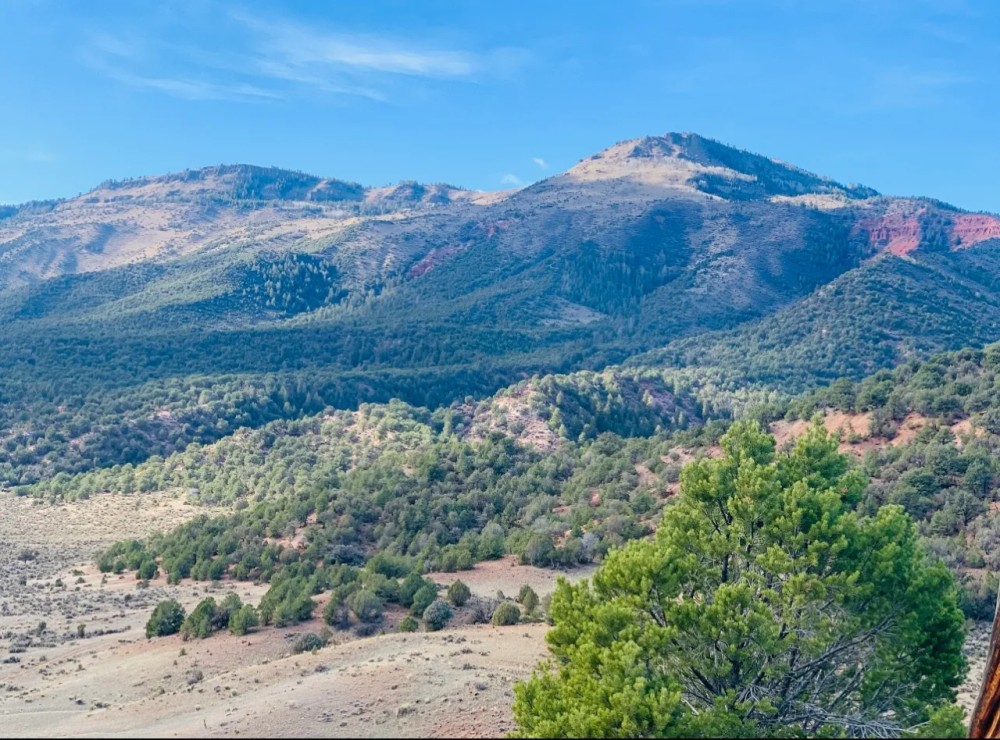 Yarmony Mountain Hunting Ranch featured image