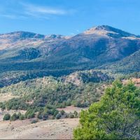 Yarmony Mountain Hunting Ranch images 1