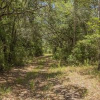 Hike Lake Hunting Preserve images 2