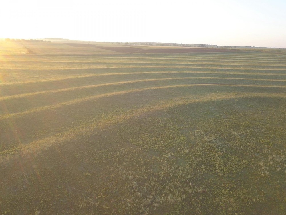 North Caddo County 160 featured image