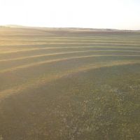 North Caddo County 160