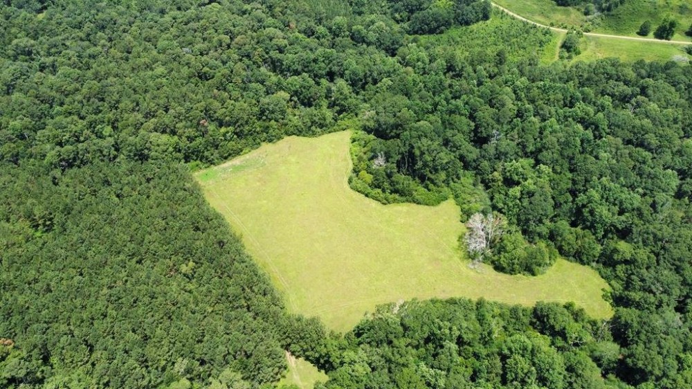 142 Acres Hunting Timberland Land for Sale Southwest MS featured image