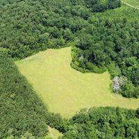 142 Acres Hunting Timberland Land for Sale Southwest MS