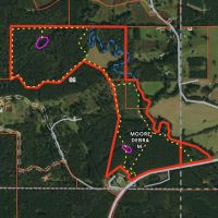 142 Acres Hunting Timberland Land for Sale Southwest MS images 2
