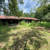 142 Acres Hunting Timberland Land for Sale Southwest MS images 3