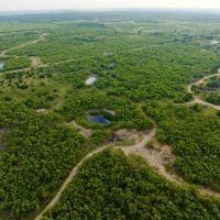 Diamond C Bow Hunting Ranch images 3