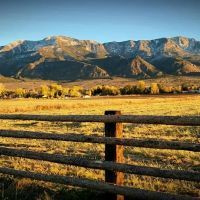 Annabella Land Cattle images 3