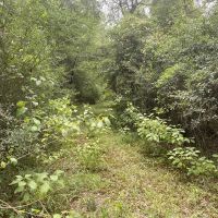 MS - Marion 9 acres -