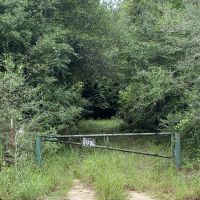 MS - Marion 9 acres - images 3