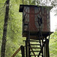 MS - Marion 9 acres - images 4