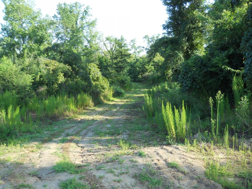 852 - Acres Blank Canvas - - Paint Your Picture featured image