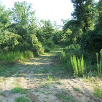 852 - Acres Blank Canvas - - Paint Your Picture