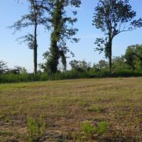 852 - Acres Blank Canvas - - Paint Your Picture images 2