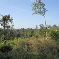 852 - Acres Blank Canvas - - Paint Your Picture images 3