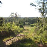 852 - Acres Blank Canvas - - Paint Your Picture images 4