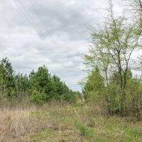 235 Acres Maya 1004 Tract 11 images 3