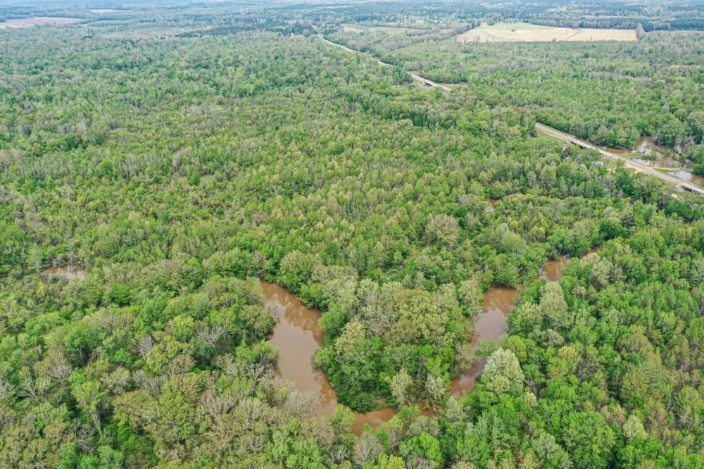 Big Black River - 93 Acres Montgomery County MS featured image
