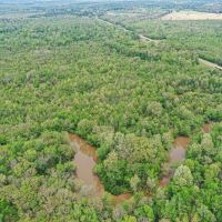 Big Black River - 93 Acres Montgomery County MS