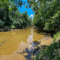 Big Black River - 93 Acres Montgomery County MS images 3