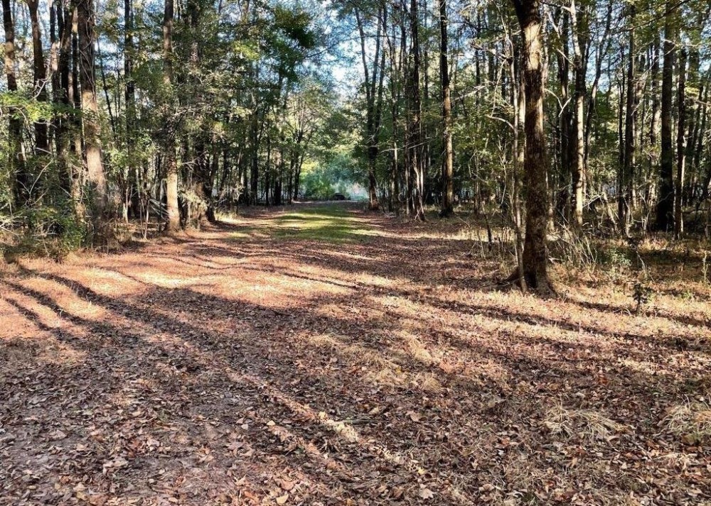 8.3 Acres Residential Land Lot for Sale in Clinton MS featured image