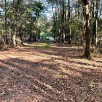 8.3 Acres Residential Land Lot for Sale in Clinton MS