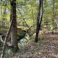 8.3 Acres Residential Land Lot for Sale in Clinton MS images 2